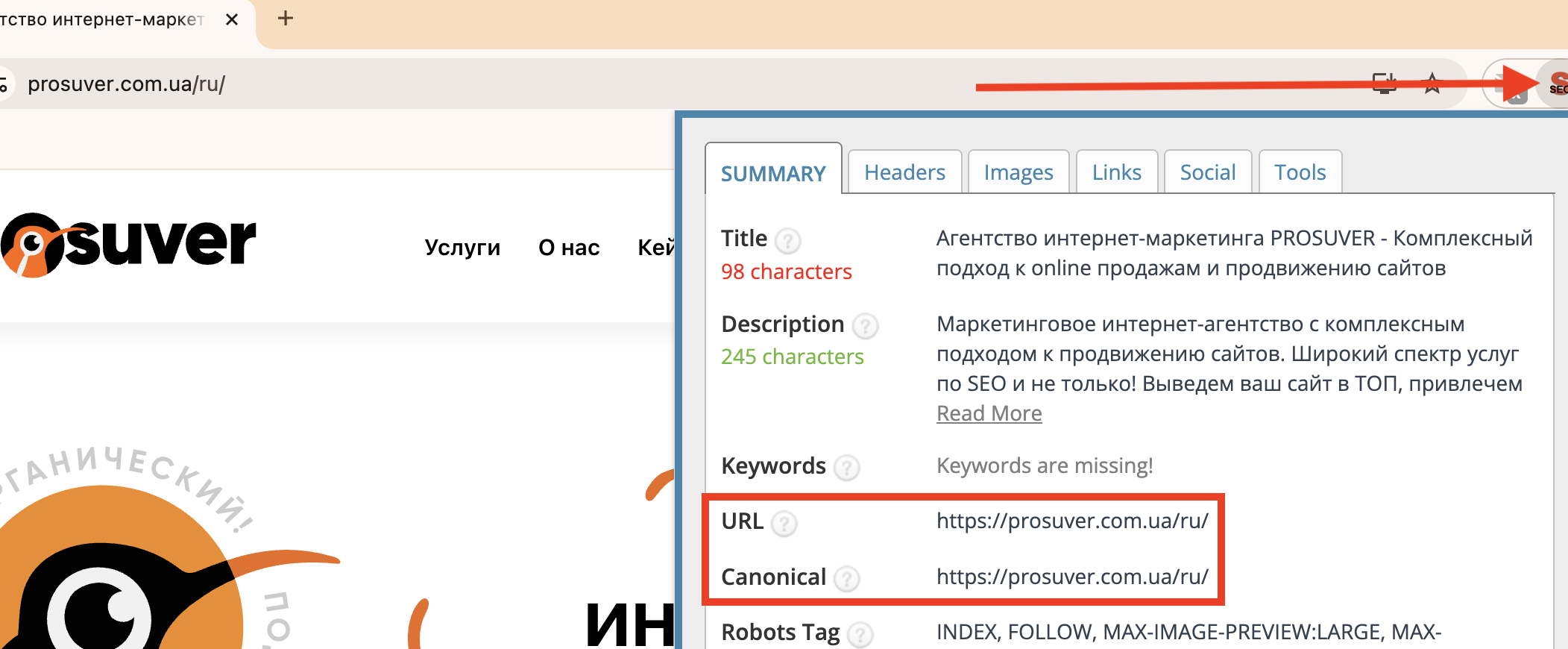 Проверка canonical через Seo Meta in 1 Click